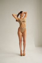 проститутка Алиса горловой