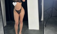 фото Лиса  (инди)